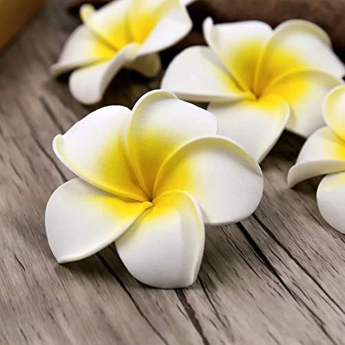 24 Pcs Artificial Big Fake Foam Flower Water Hawaii Beach Plumeria Frangipani Floating Decorative Floral for Home Decor, Pooja Room, Thali, Festival, Table, Wedding, mandir, Puja, DIY